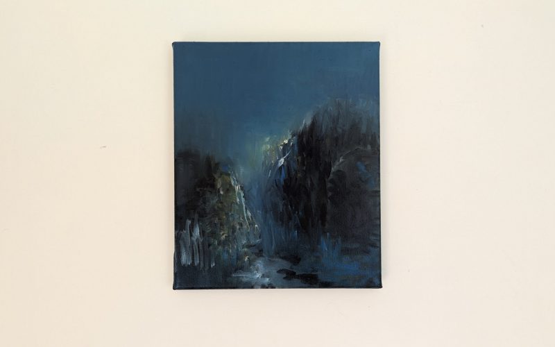 The Night Garden II, 2025. oil on canvas, 30.5 x 25.5cms (12” x 10”)